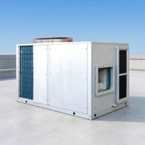 Air Cooled Heat Recovery Rooftop Packaged Unit with PLC Control DX Air Conditioner for Hospital Commercial Use