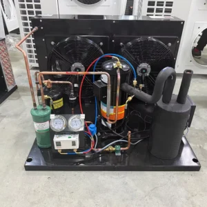 Factory 3hp 5hp 6hp 10hp Germany Air Cooled Compressor Condensing Unit for Cooling System Refrigeration