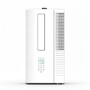 No Outdoor Unit Integrated Fixed Frequency Class Energy Efficient Electric Window Air Conditioner 6000BTU R290 Refrigerant